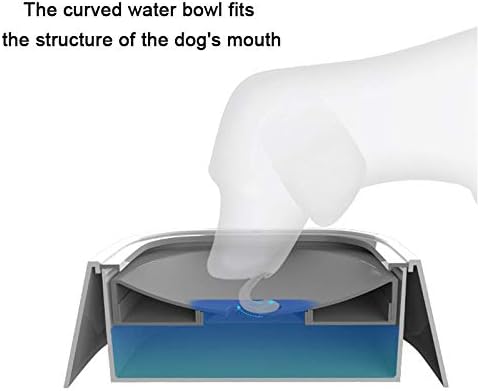 Anti-Spill Pet Water Bowl