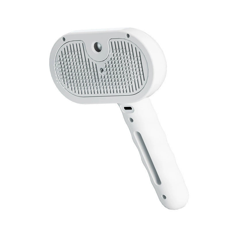 Misting Cat Brush