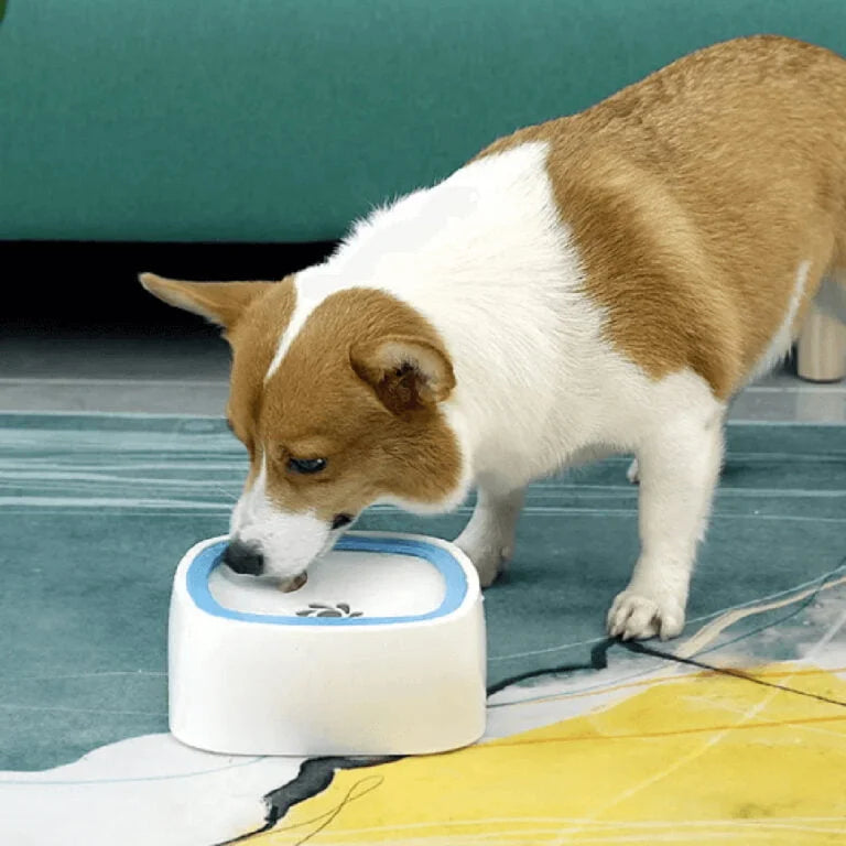 Anti-Spill Pet Water Bowl